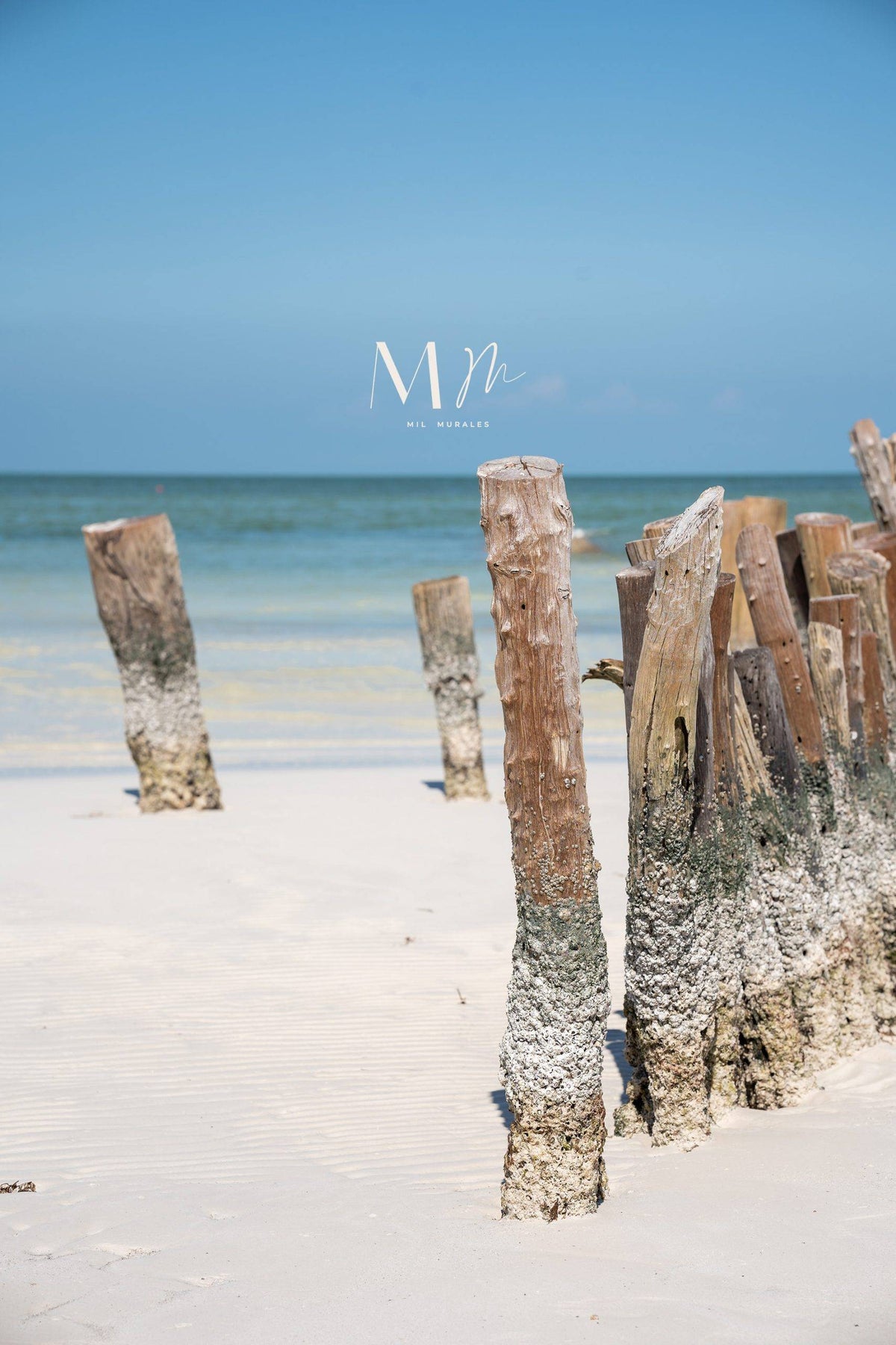 Seashore