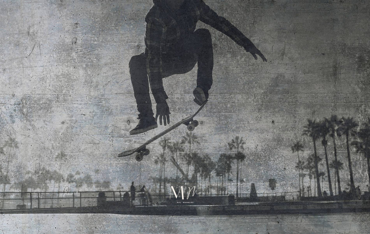 Skate BN