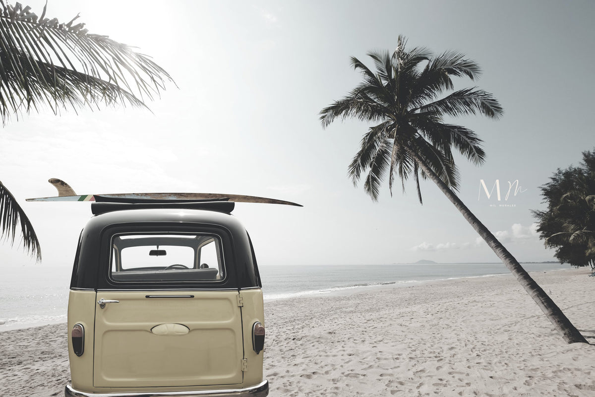 Combi Surf