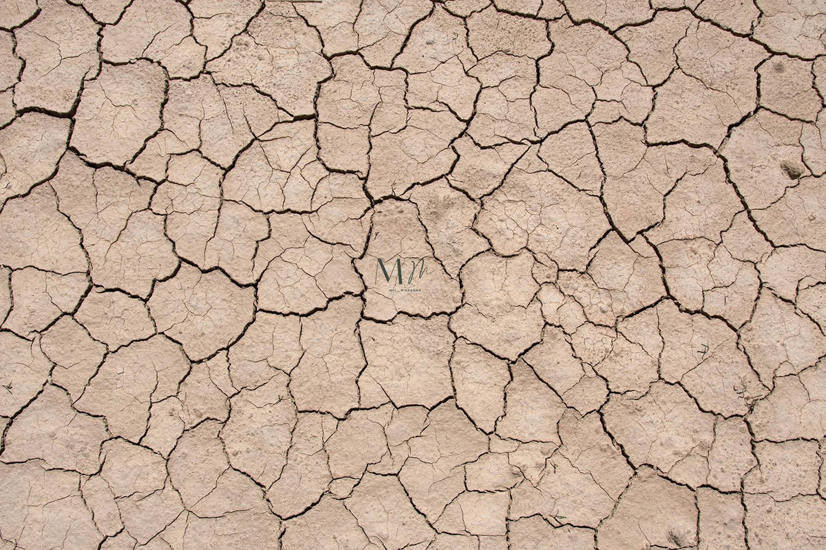 Tierra Seca