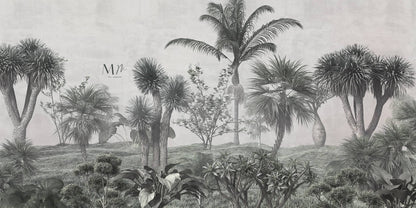 Tipos de palmas