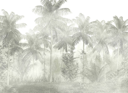 Bosque nublado