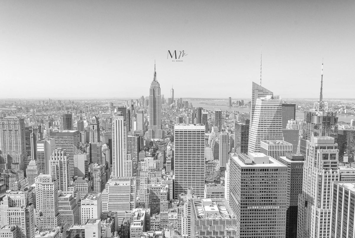 New York II