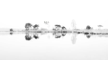 Reflejo