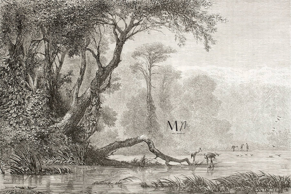 Rio Rioni