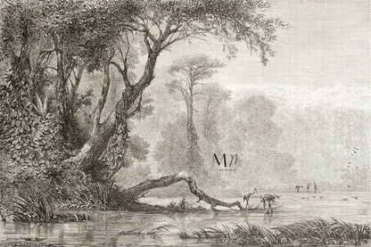 Rio Rioni