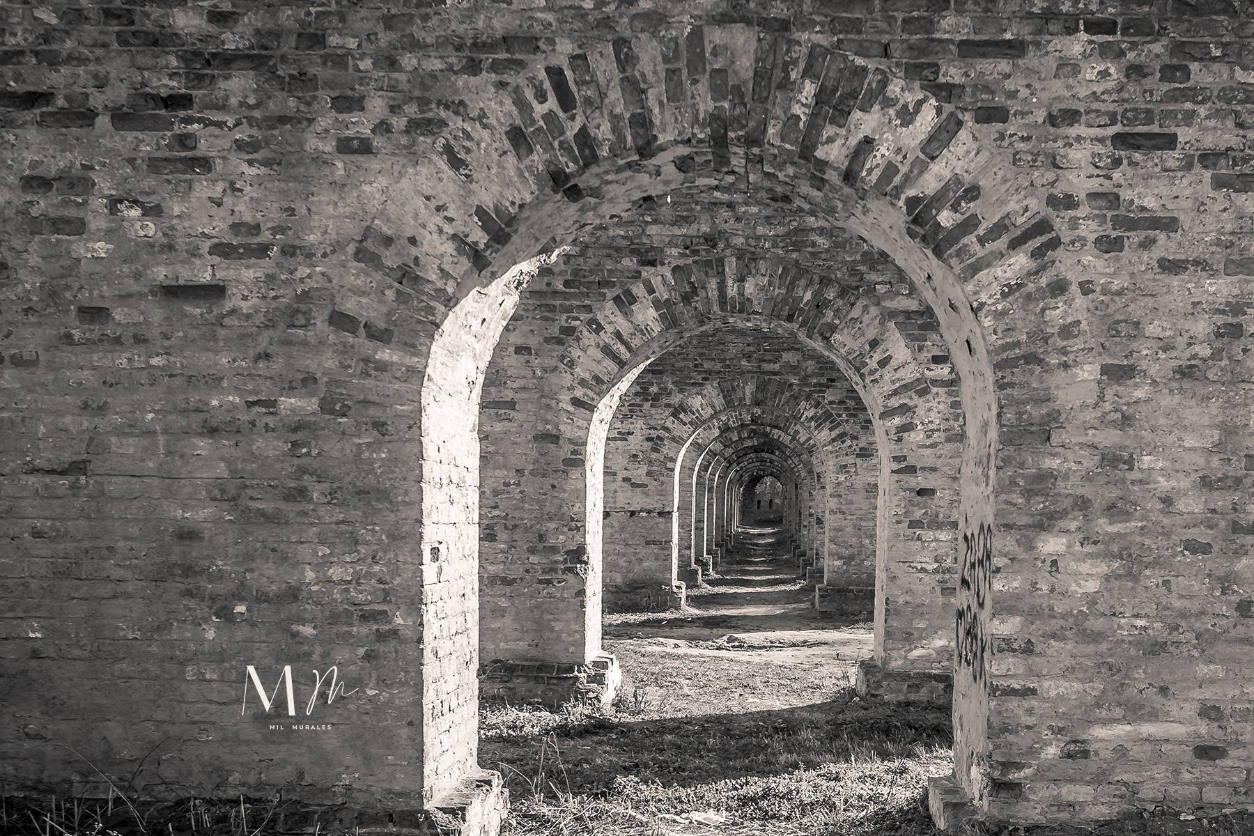 entre arcos
