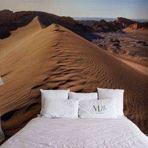 Atacama II
