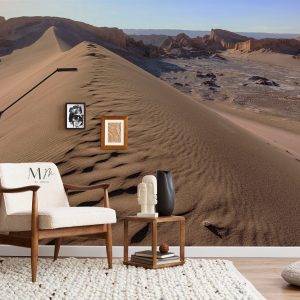 Atacama Desaturada