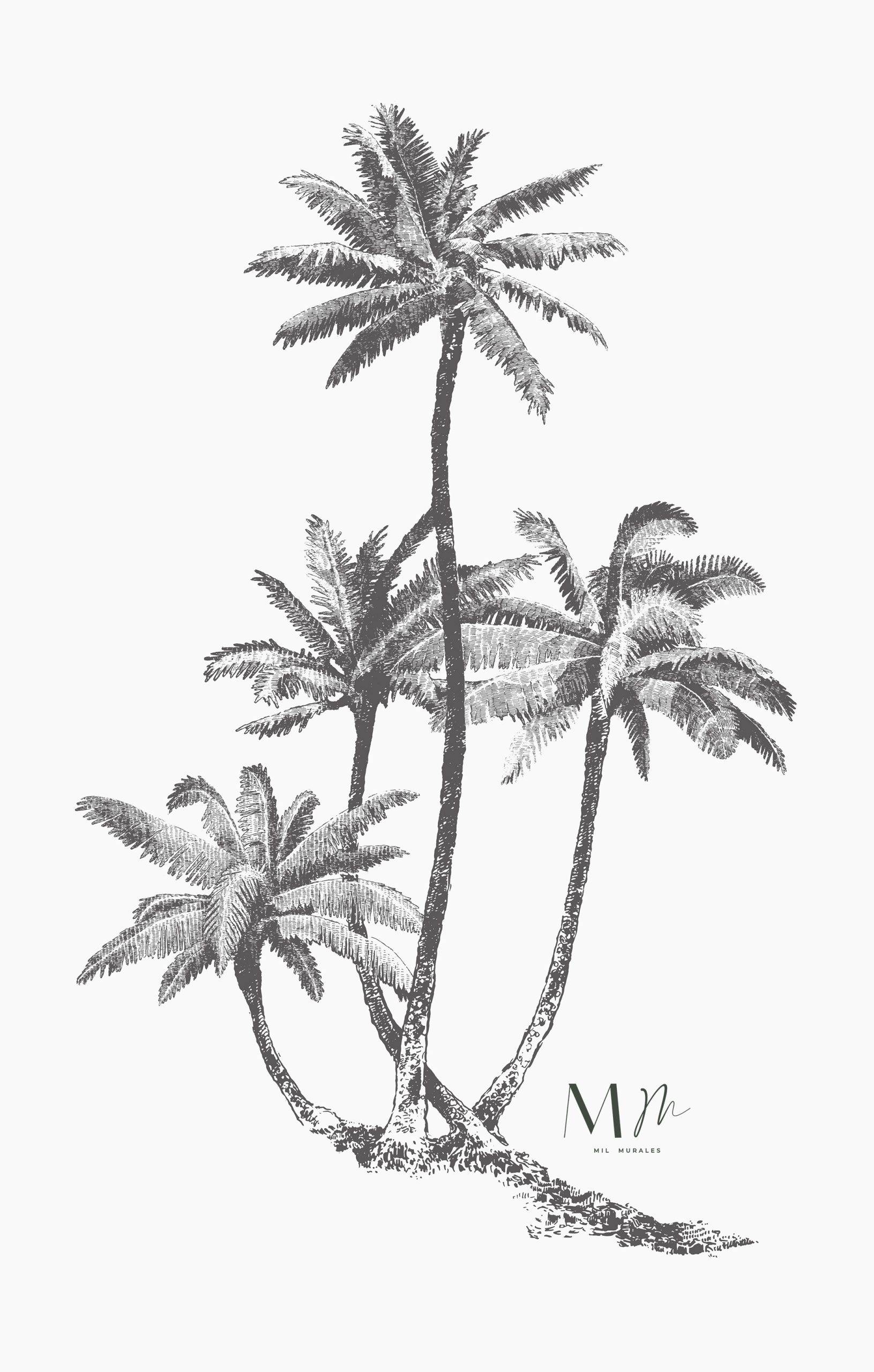 Palmeras